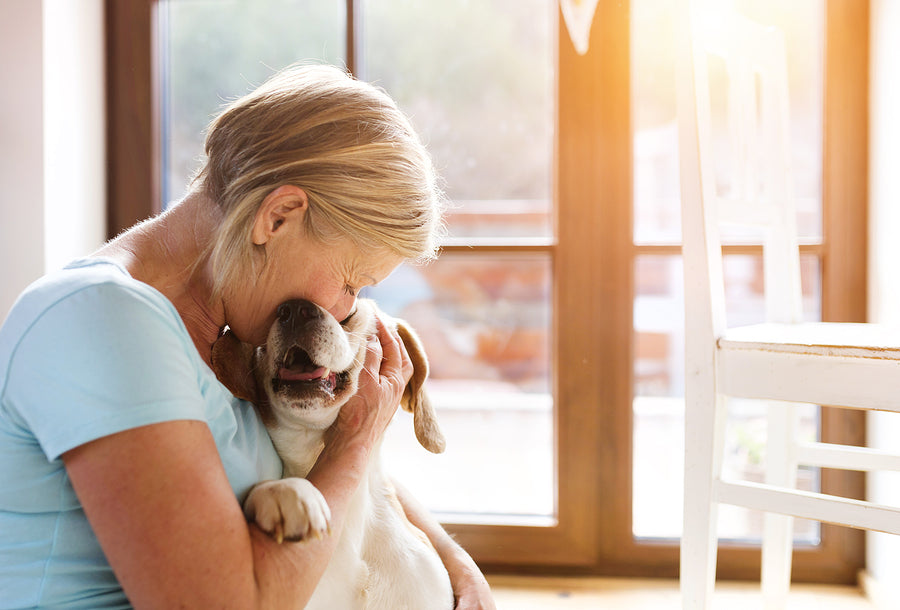 February 20th: Cherish Every Day - Celebrating Love Your Pet Day